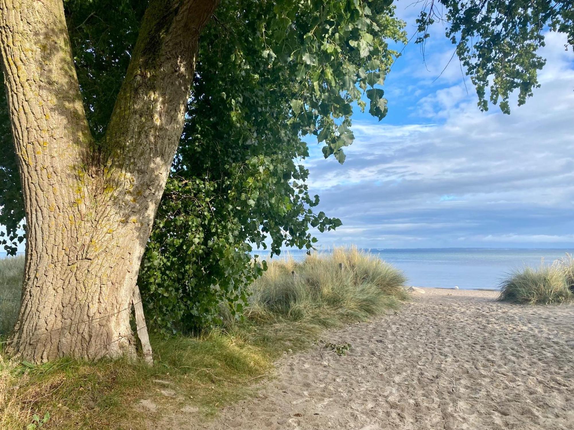 Feriendorf Südstrand Haus 33 Pelzerhaken Exterior foto